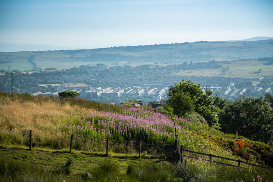 Natural Flood Management on Darwen Moors