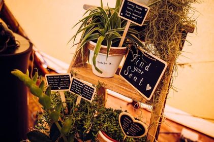 Local Entrepreneur: Urban Seed, Darwen Houseplant Shop