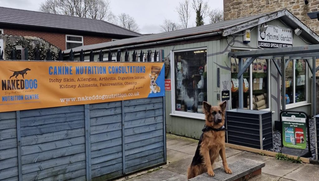 The Animal Garden: Darwen’s very own specialist pet shop and dog daycare