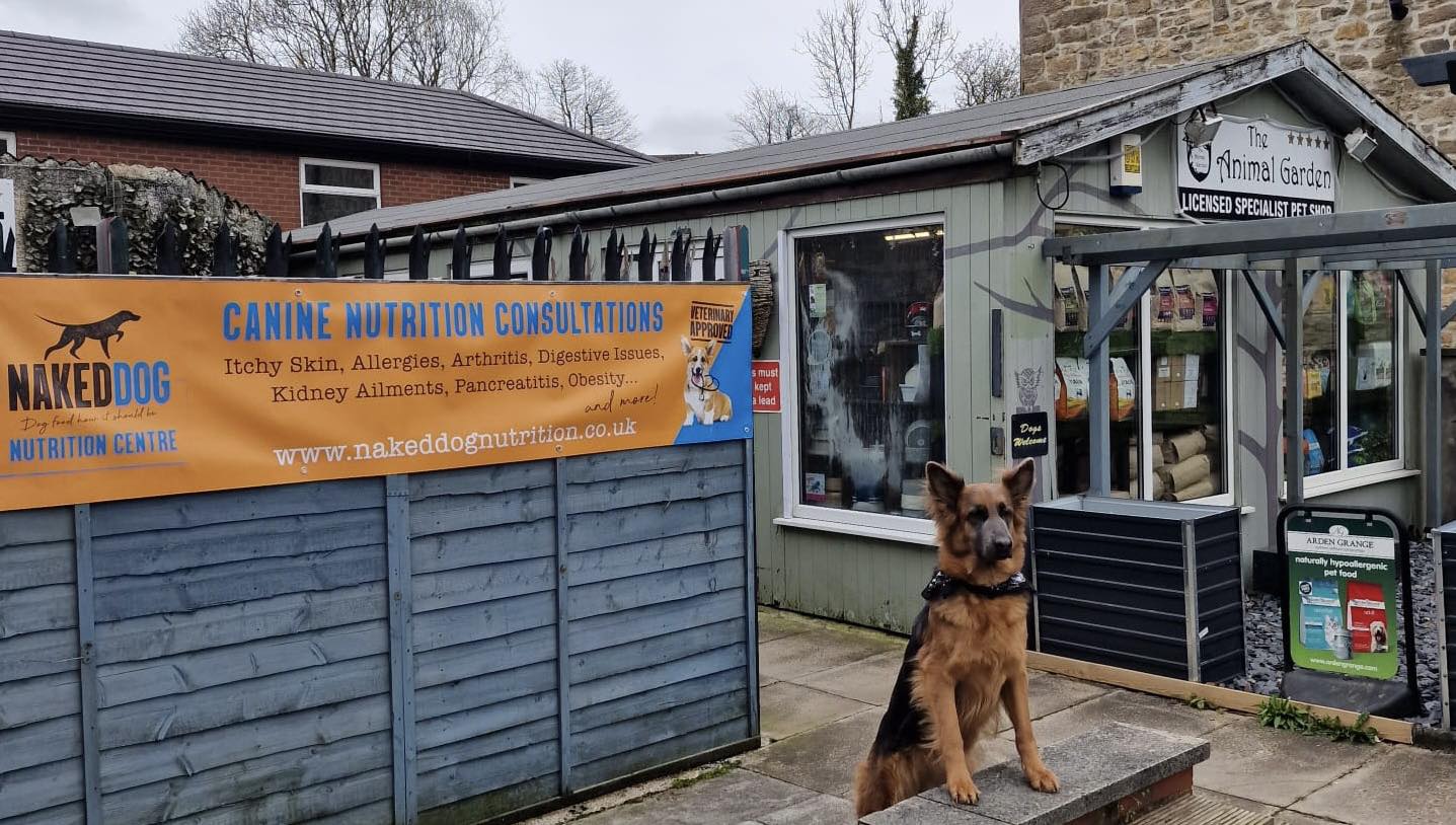 The Animal Garden: Darwen’s very own specialist pet shop and dog daycare