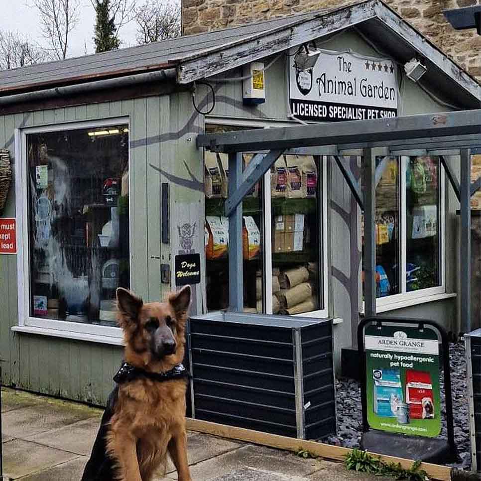 The Animal Garden
