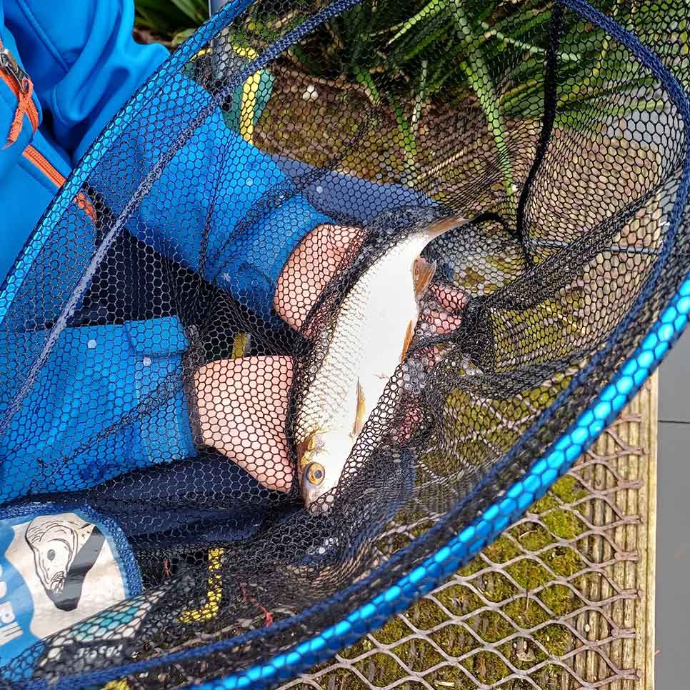 Newrad Fisheries